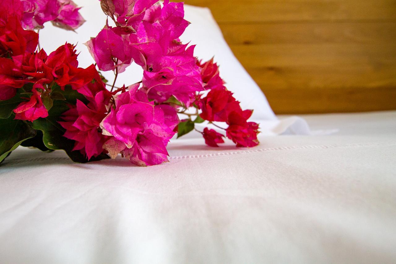 Bitacora Aparthotel ลาสเนกรัส ภายนอก รูปภาพ